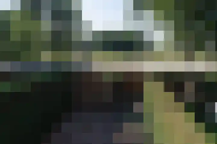 Sterappel 64 Barneveld thumbnail 20