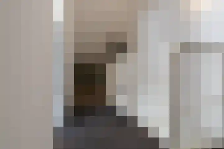 Sterappel 64 Barneveld thumbnail 28