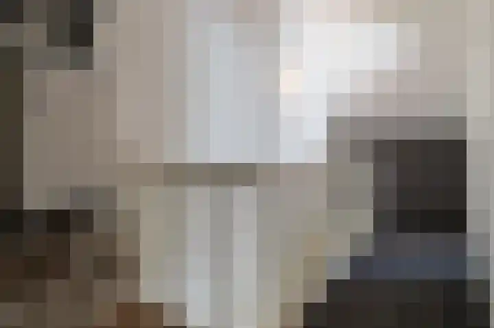 Sterappel 64 Barneveld thumbnail 29