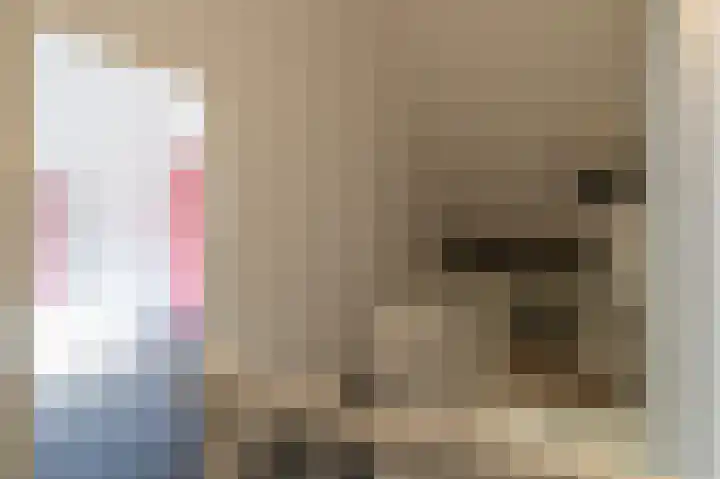 Sterappel 64 Barneveld thumbnail 30