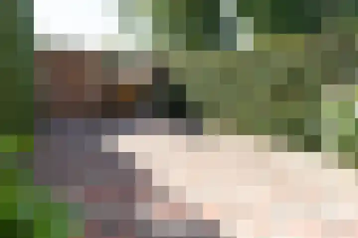 Sterappel 64 Barneveld thumbnail 34