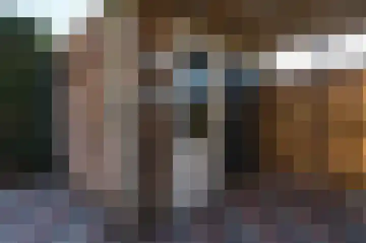 Sterappel 64 Barneveld thumbnail 36