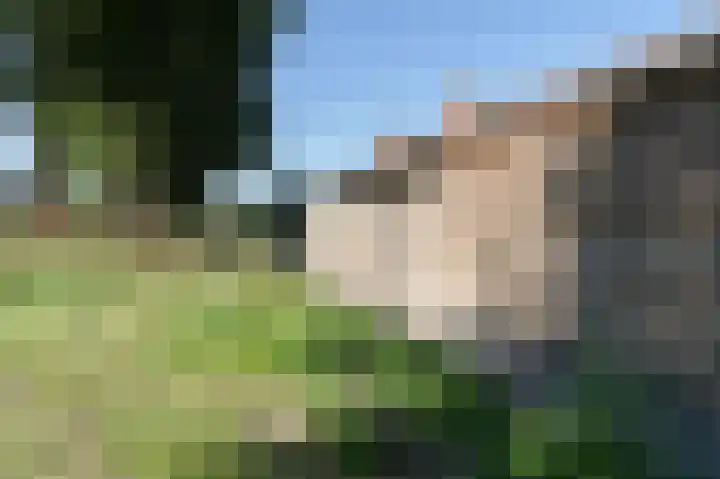 Sterappel 64 Barneveld thumbnail 37