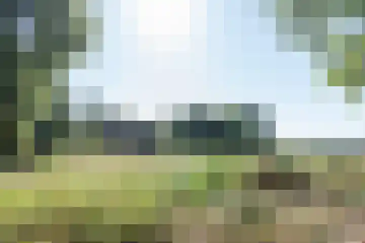 Sterappel 64 Barneveld thumbnail 38