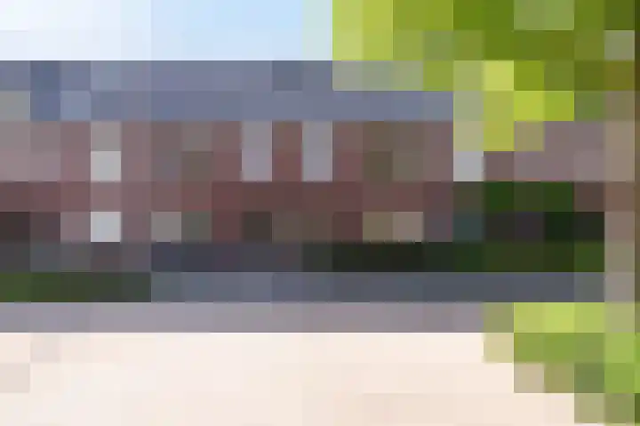 Sterappel 64 Barneveld thumbnail 42