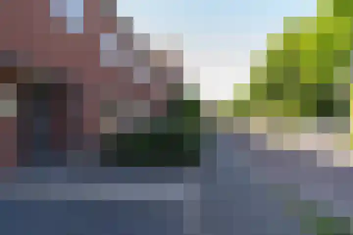Sterappel 64 Barneveld thumbnail 44