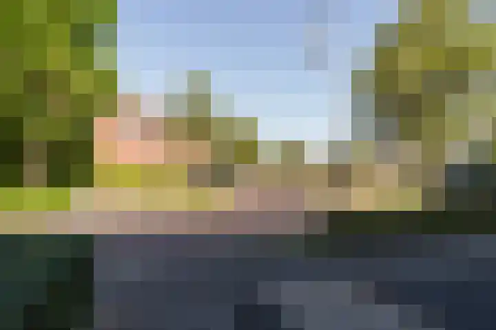 Sterappel 64 Barneveld thumbnail 45