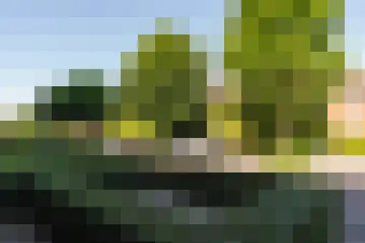 Sterappel 64 Barneveld thumbnail 46