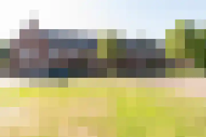 Sterappel 64 Barneveld thumbnail 47