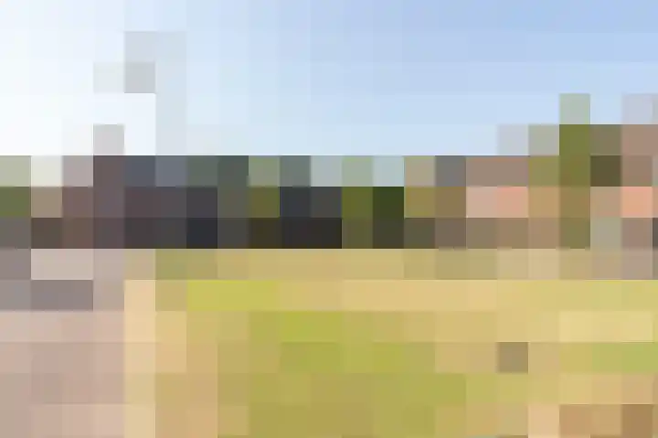 Sterappel 64 Barneveld thumbnail 48