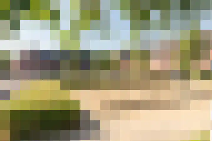Sterappel 64 Barneveld thumbnail 49