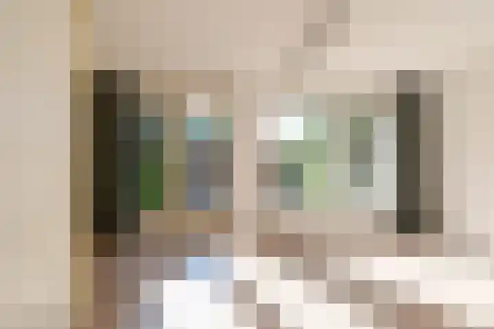 Sterappel 64 Barneveld thumbnail 7