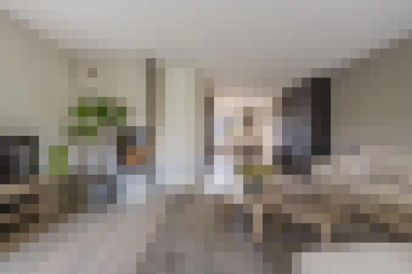 Sterappel 64 Geldermalsen thumbnail 16