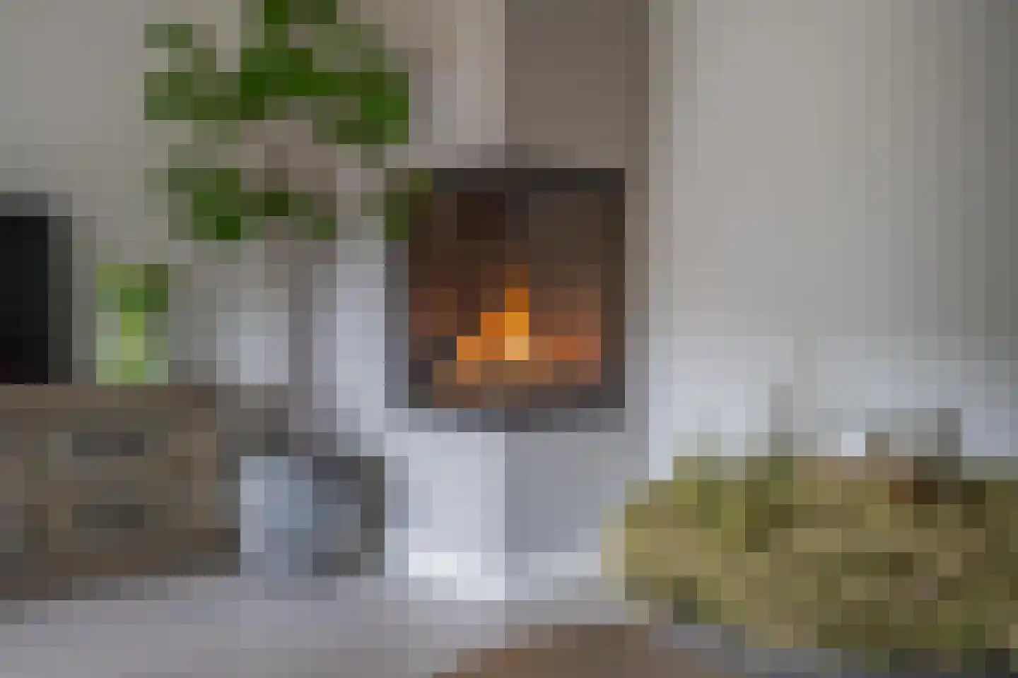 Sterappel 64 Geldermalsen thumbnail 17
