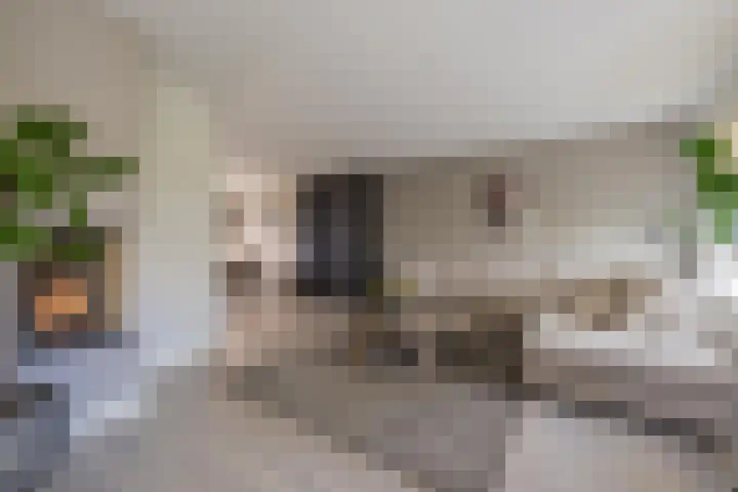 Sterappel 64 Geldermalsen thumbnail 19
