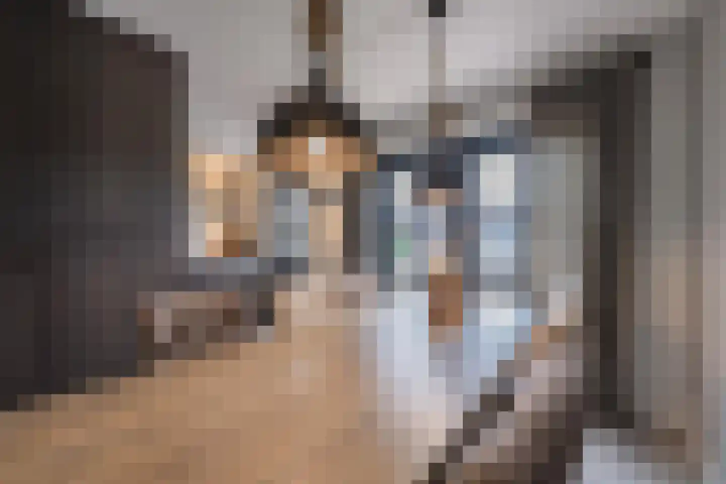 Sterappel 64 Geldermalsen thumbnail 24