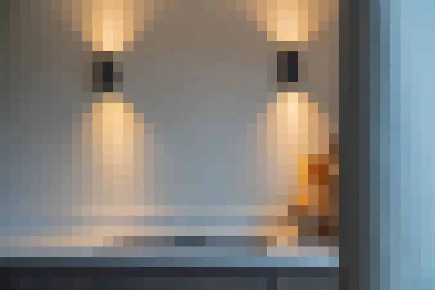 Sterappel 64 Geldermalsen thumbnail 28