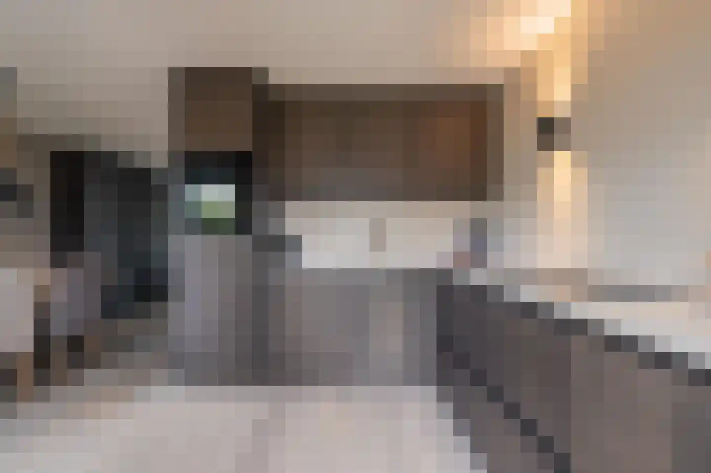 Sterappel 64 Geldermalsen thumbnail 31