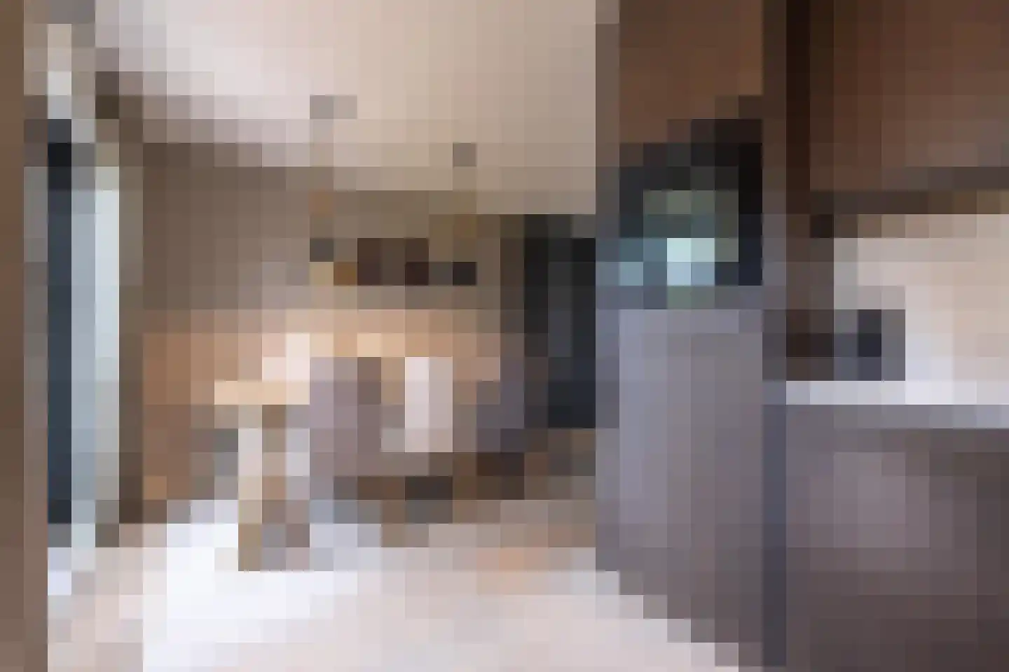 Sterappel 64 Geldermalsen thumbnail 32