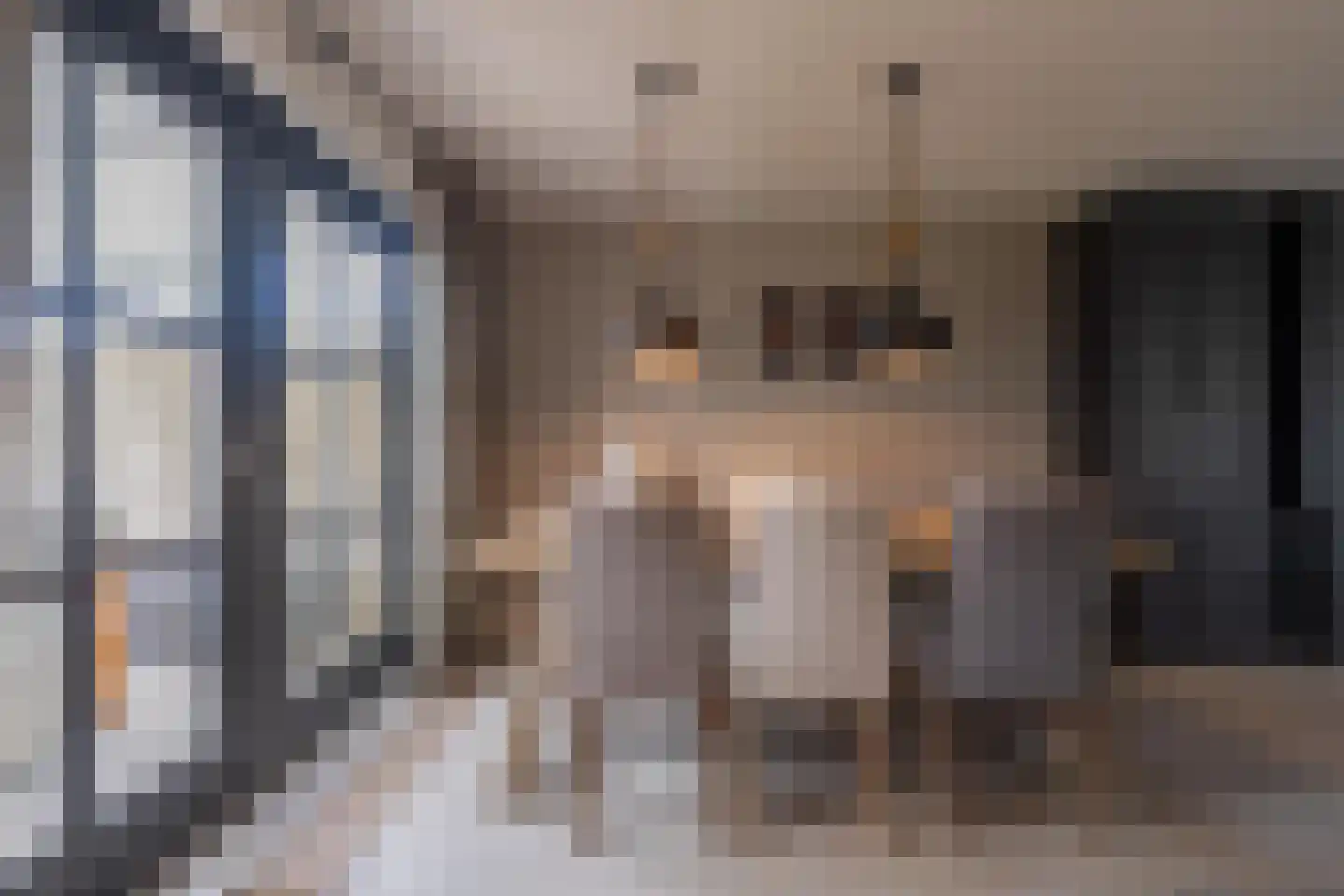 Sterappel 64 Geldermalsen thumbnail 33
