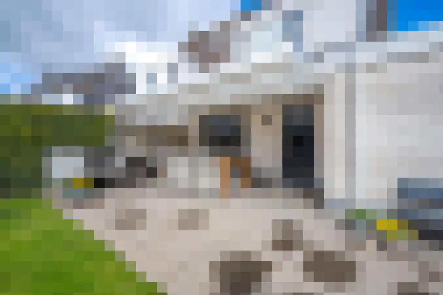 Sterappel 64 Geldermalsen thumbnail 42