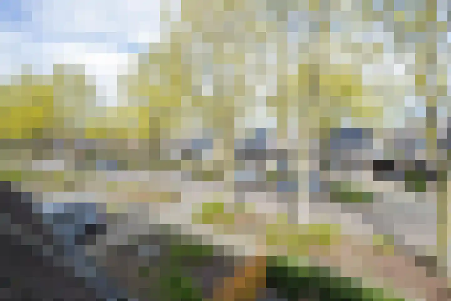 Sterappel 64 Geldermalsen thumbnail 47