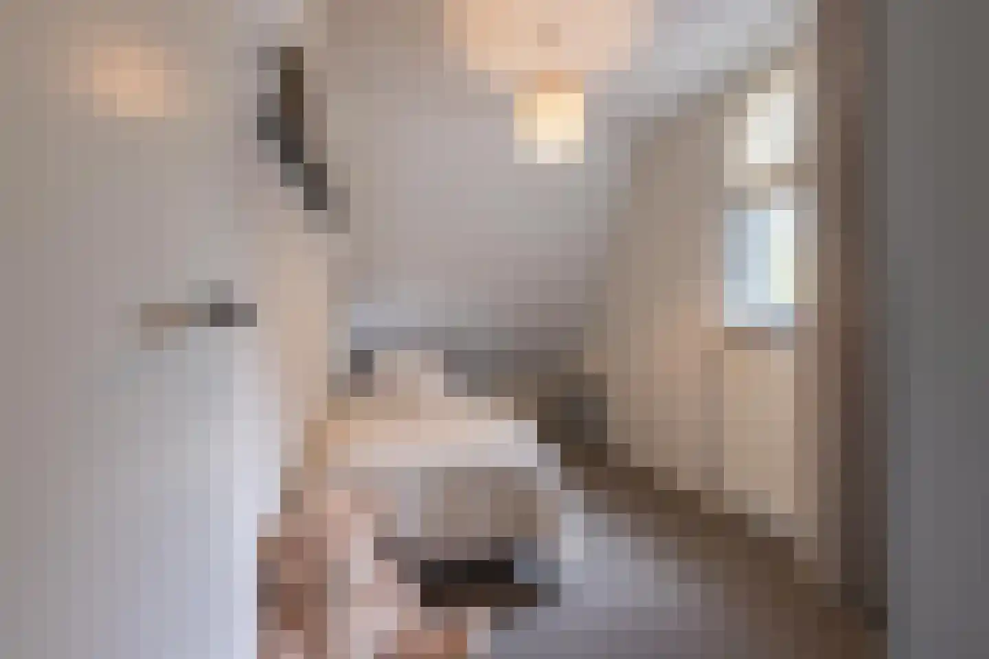 Sterappel 64 Geldermalsen thumbnail 49