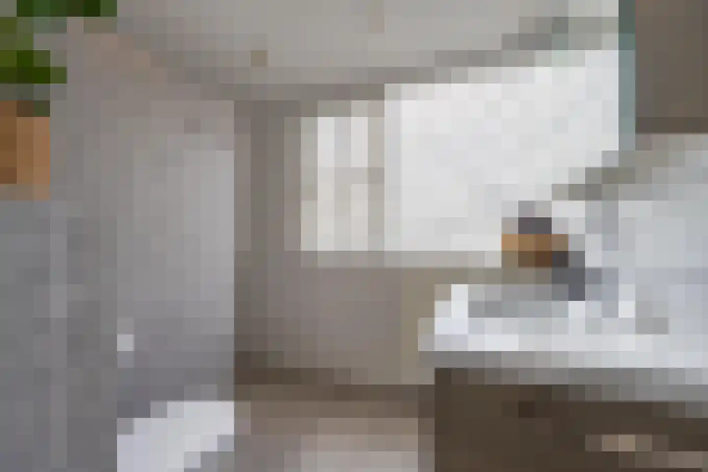 Sterappel 64 Geldermalsen thumbnail 54