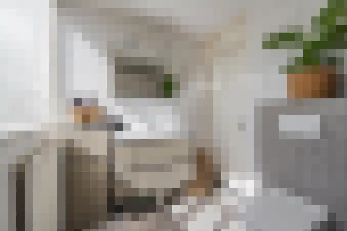Sterappel 64 Geldermalsen thumbnail 56
