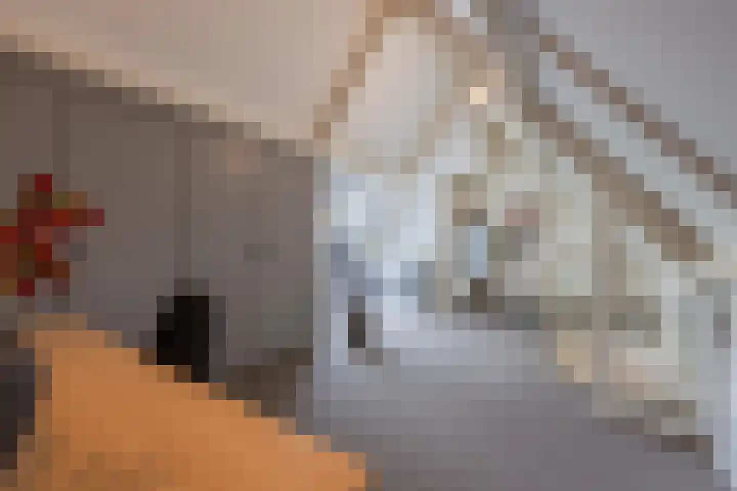 Sterappel 64 Geldermalsen thumbnail 61