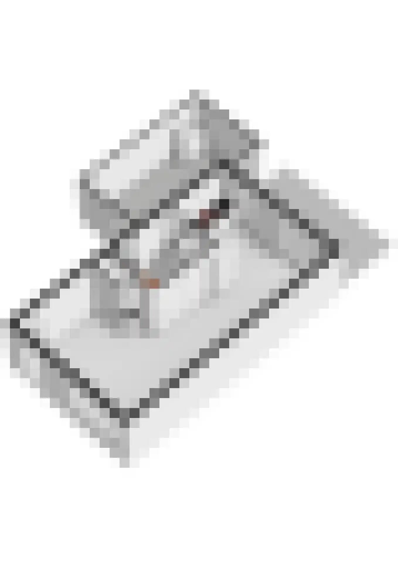 Sterappel 64 Geldermalsen thumbnail 64