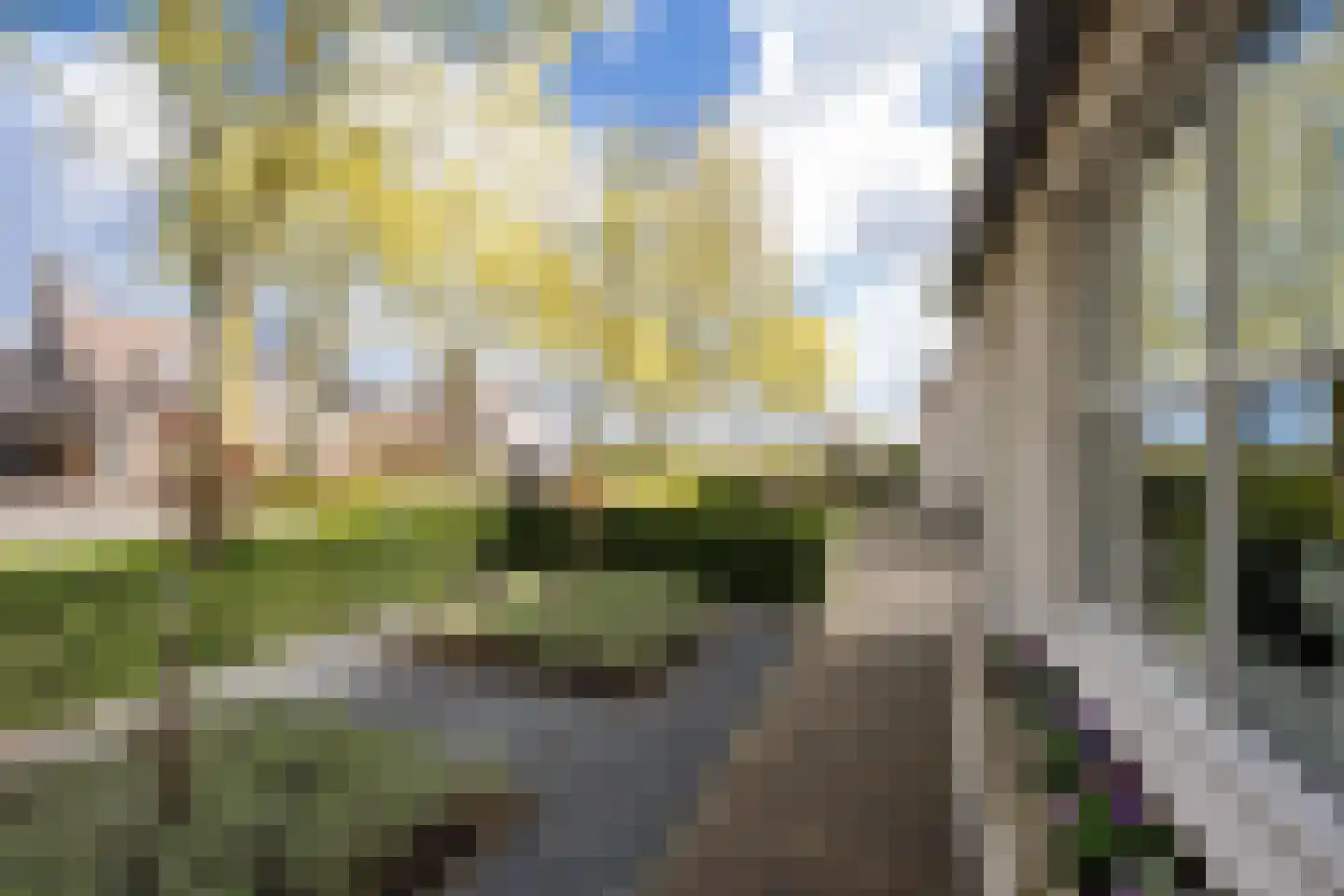 Sterappel 64 Geldermalsen thumbnail 8