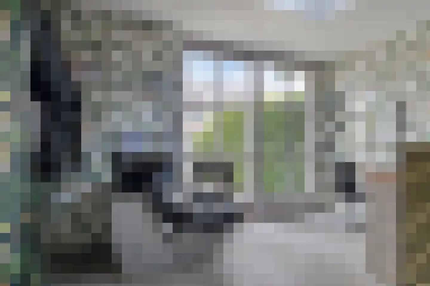 Sterappel 7 Uden thumbnail 18