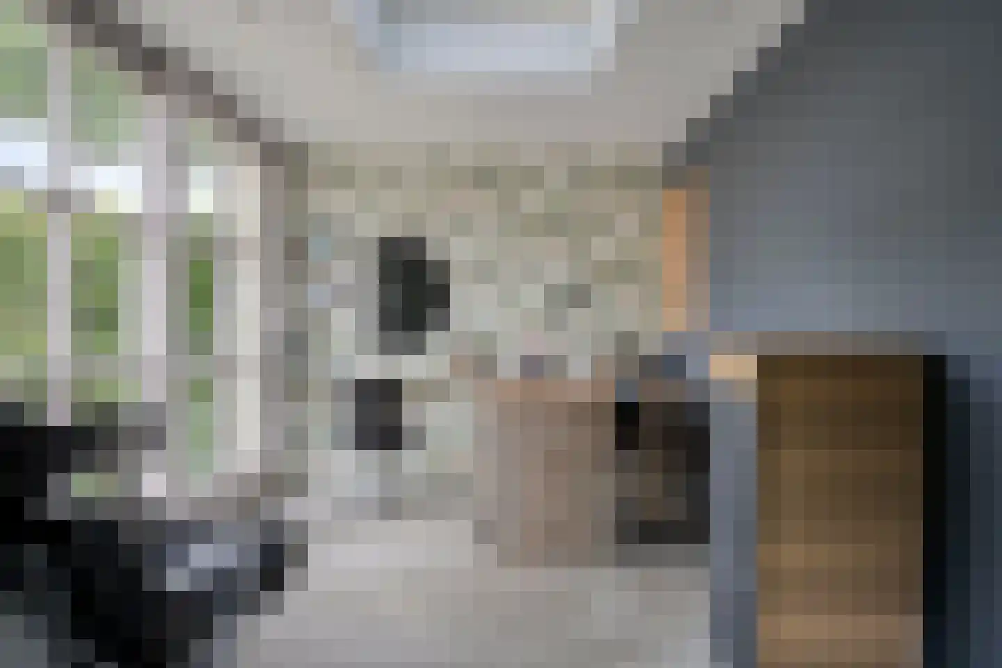 Sterappel 7 Uden thumbnail 19