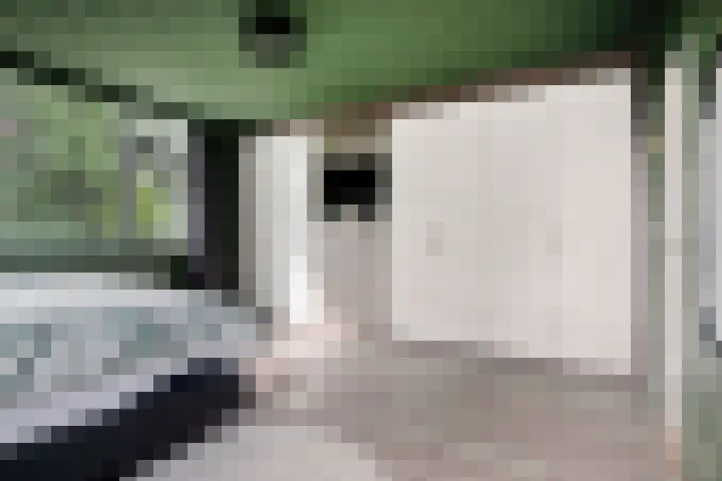Sterappel 7 Uden thumbnail 22