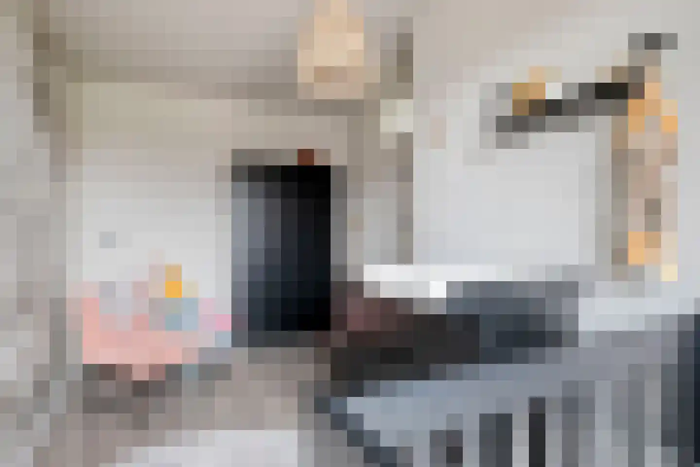 Sterappel 7 Uden thumbnail 27
