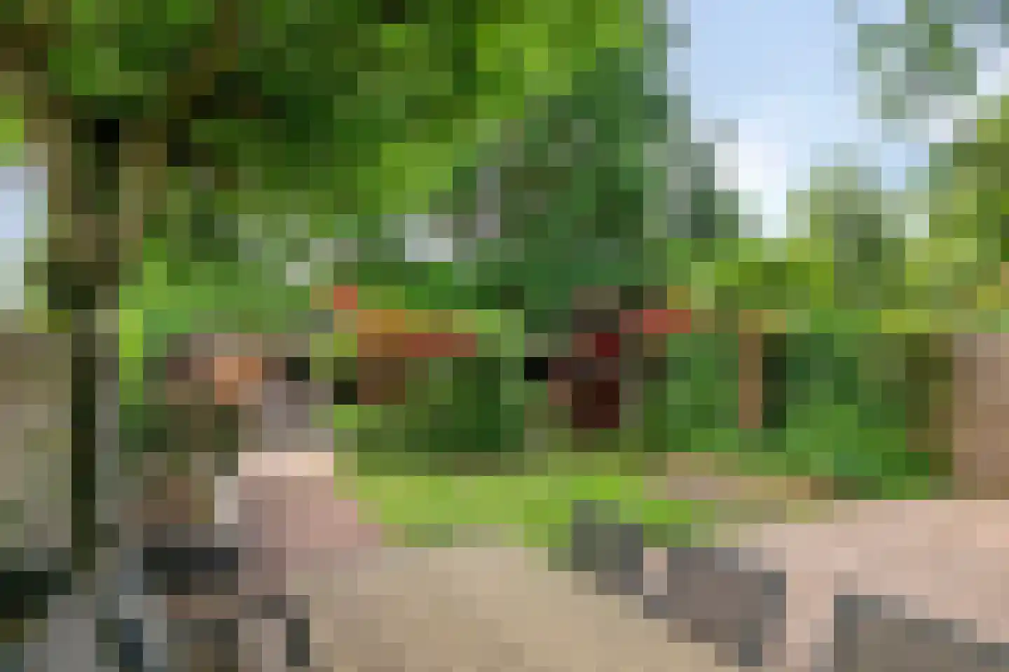 Sterappel 7 Uden thumbnail 37