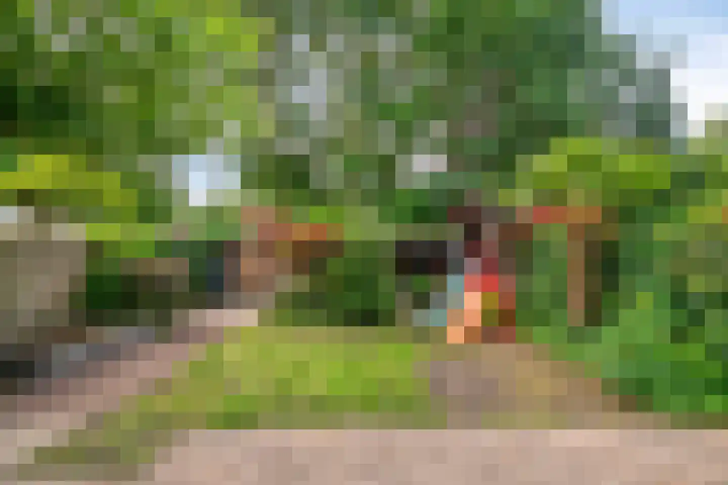 Sterappel 7 Uden thumbnail 38