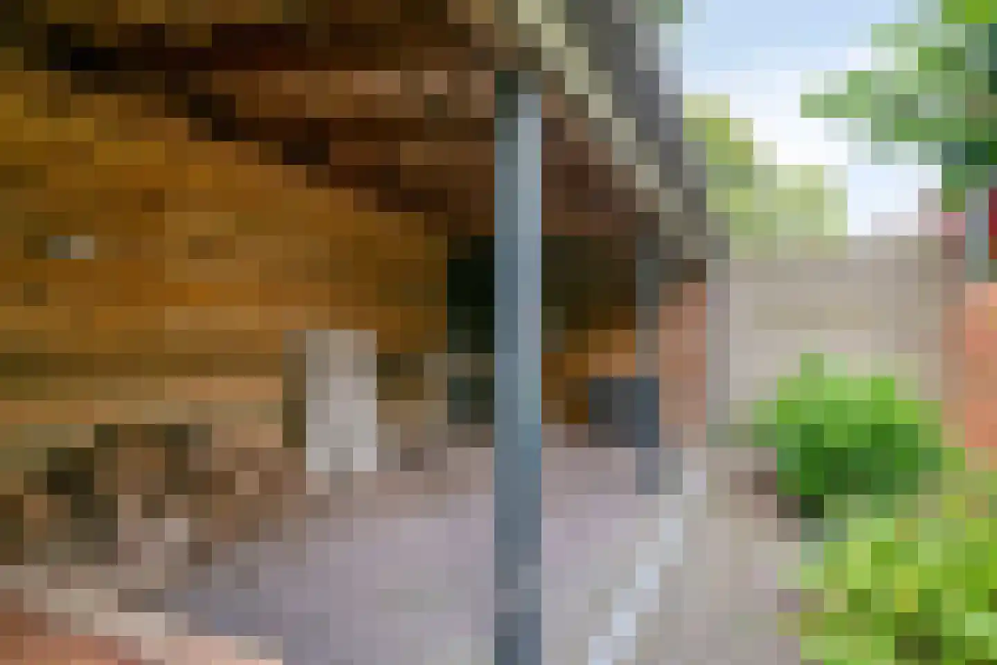 Sterappel 7 Uden thumbnail 39