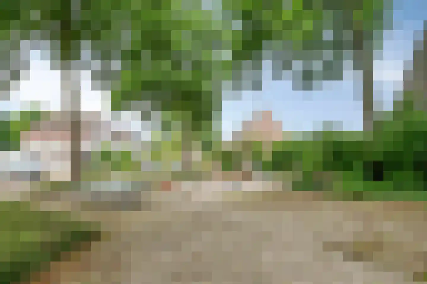 Sterappel 7 Uden thumbnail 40