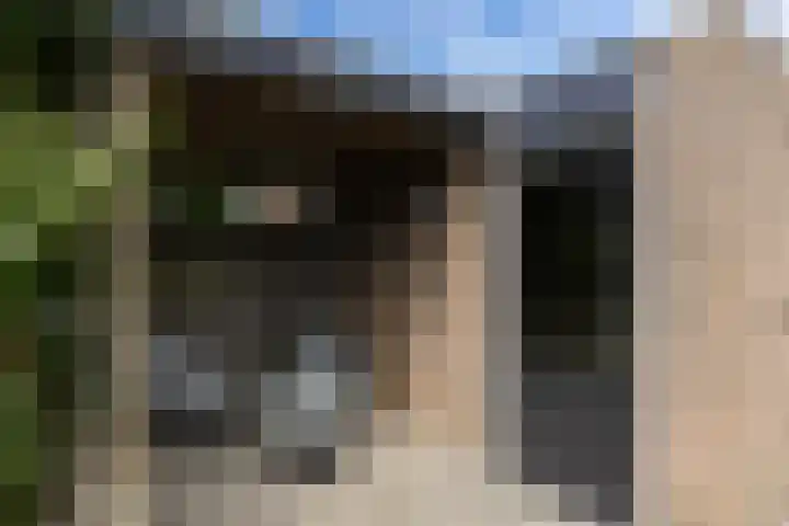 Sterappel 8 Uden thumbnail 10