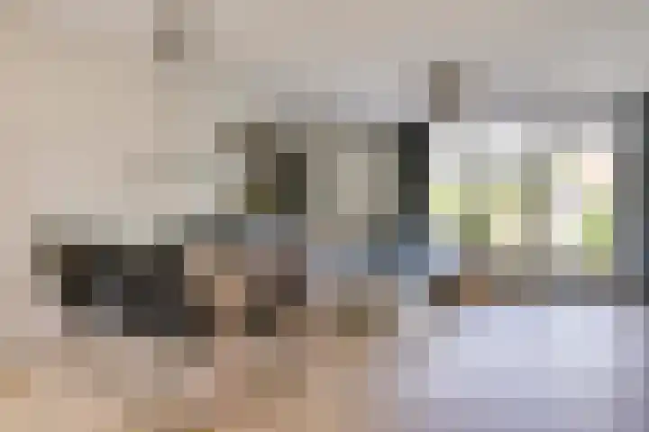 Sterappel 8 Uden thumbnail 11