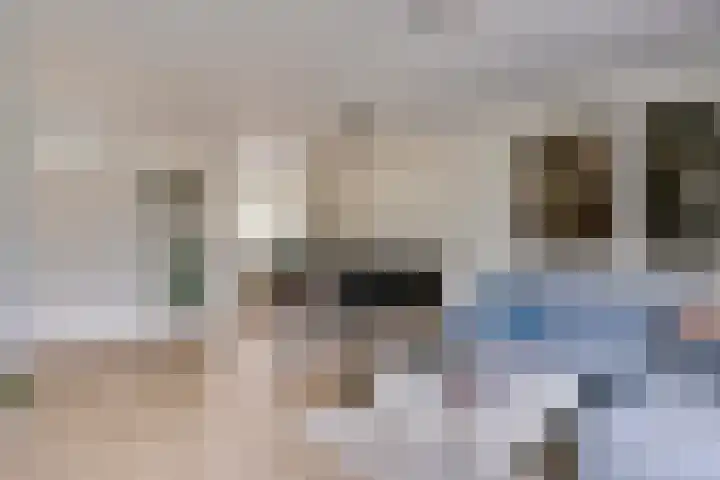 Sterappel 8 Uden thumbnail 12