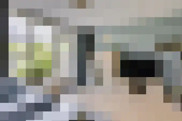Sterappel 8 Uden thumbnail 13