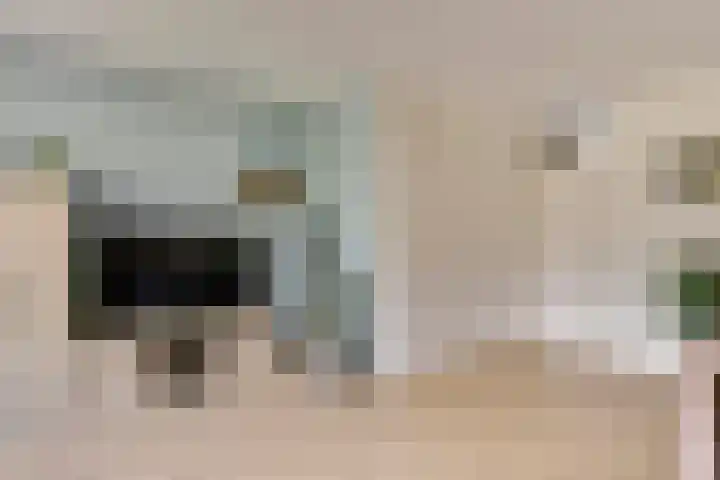 Sterappel 8 Uden thumbnail 14