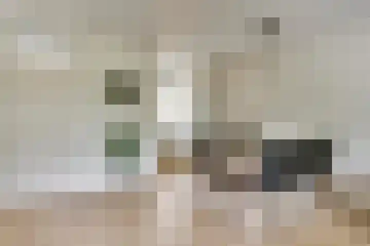 Sterappel 8 Uden thumbnail 15