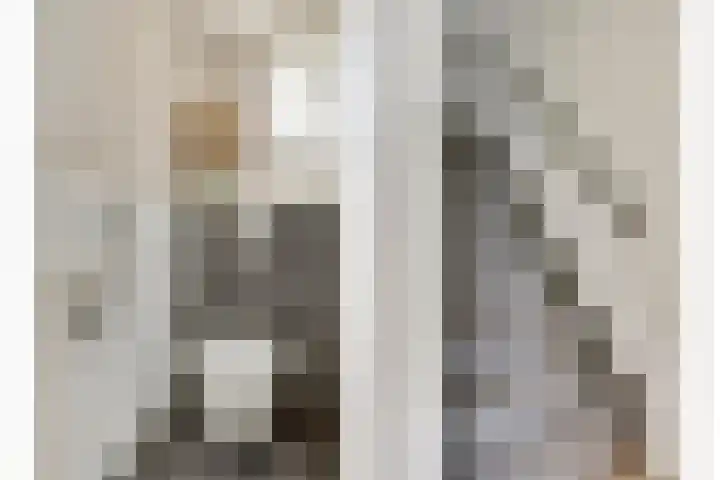 Sterappel 8 Uden thumbnail 17