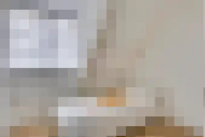 Sterappel 8 Uden thumbnail 19