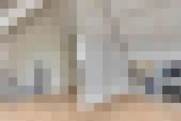 Sterappel 8 Uden thumbnail 23