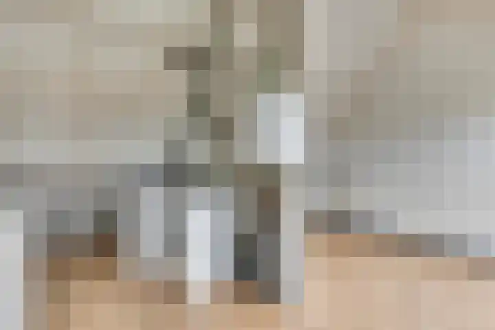 Sterappel 8 Uden thumbnail 25